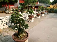 -普陀山风景名胜区-法雨禅寺