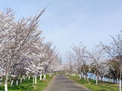 -上海海湾国家森林公园