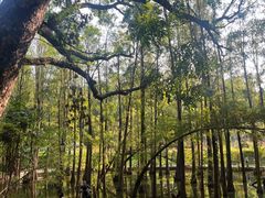 -金山植物公园