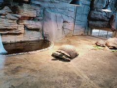 -石家庄市动物园