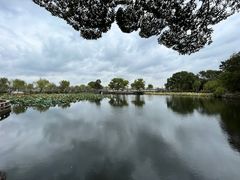-无锡蠡湖国家湿地公园-蠡园
