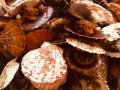 -宾朋海鲜美食餐厅·特色美食(兴海路店)