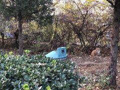 -北京科技大学-游泳馆