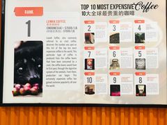 -巴厘岛黄金金兔咖啡工厂