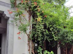 -鲤院·新中式美学·庭院餐厅(夫子庙店)