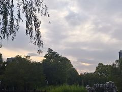 -西安市长乐公园