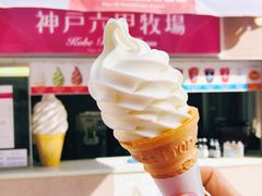 特色牛奶-神户六甲牧场(北野本店)