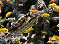 -太平洋海底世界