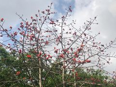 -立新湖公园
