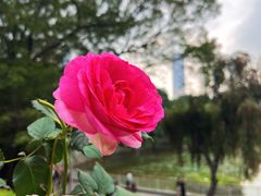 -人民公园(罗湖区)