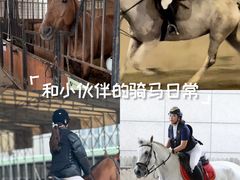 -多维国际马术俱乐部(118广场店)