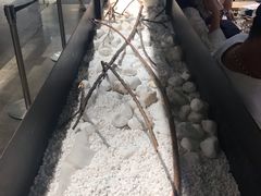 -喜茶(深圳东门1234店)