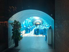 -海棠湾洲际-涛·海底餐厅·美人鱼·自助餐·海底隧道