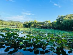-承德避暑山庄景区
