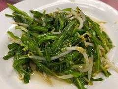 青龙菜-新峰肉骨茶