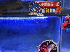 -鱼酷活鱼烤鱼(南京水游城店)