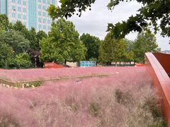 -BHG生活超市(安贞店)