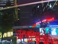 -棕榈MALL