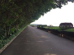-大湾区中央湿地公园