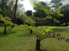 -中国科学院西双版纳热带植物园