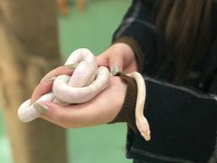-藦茜花园宠物主题亲子互动体验馆(国顺东路店)