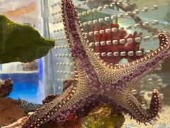 -上海海洋水族馆