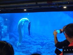 -郑州海洋馆