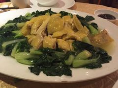 -广东名门