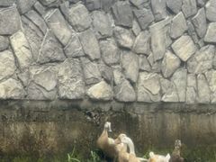 -千岛湖王子谷漂流