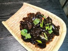 香菜拌云耳-漫渡庄绿岛花园•隐世庭园菜(滨湖店)
