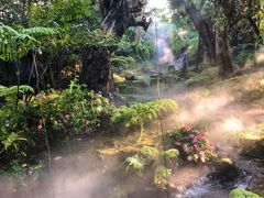 -Chom Cafe and Restaurant