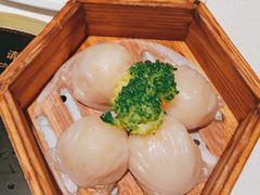 -顺峰顺水顺德菜(第一百货店)