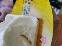 -野人先生现做冰淇淋(北京悠唐购物中心店)