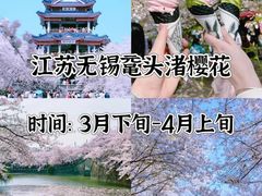 -伊犁河风景区