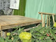 -洛阳市隋唐城遗址植物园