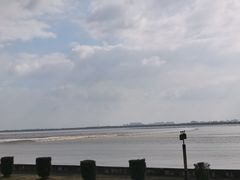 -观潮胜地公园