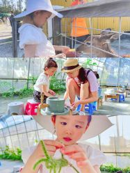 -前小桔亲子创意农场·草莓采摘·露营烧烤