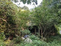 -午潮山国家森林公园