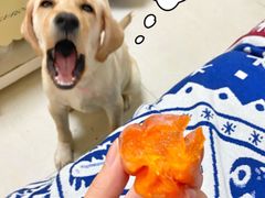 -百佳永辉超市(东城万达店)