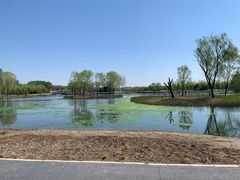 -大兴滨河森林公园