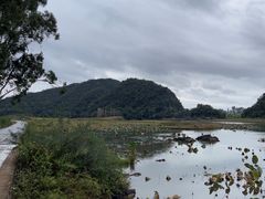 -普者黑风景区-青龙山