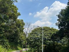 -黄埔油麻山森林公园