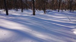 -大秃顶子山