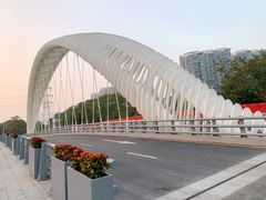 -福田红树林生态公园