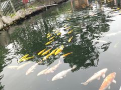 -湖鲜楼