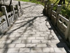 -牛背梁国家森林公园