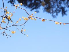 -虎丘山风景名胜区
