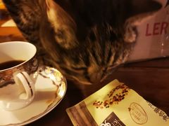 -云端咖啡私房店(河松街店)