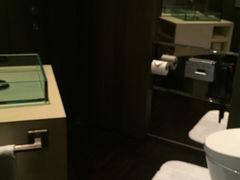 -上海柏悦酒店