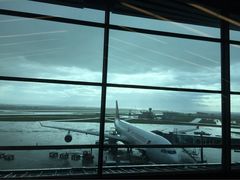 西沃古尔·拉姆古兰爵士国际机场-西沃古尔·拉姆古兰爵士国际机场